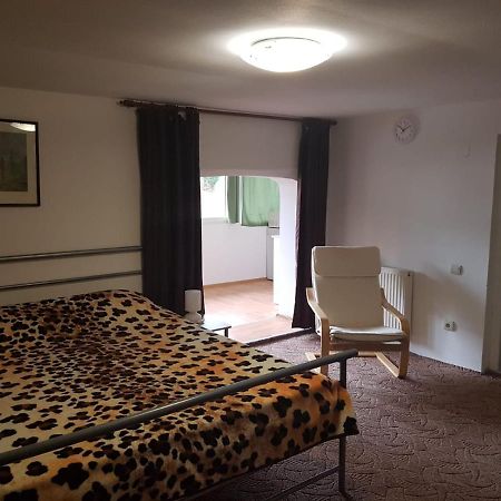 Casa Oriana Leilighet Predeal Eksteriør bilde